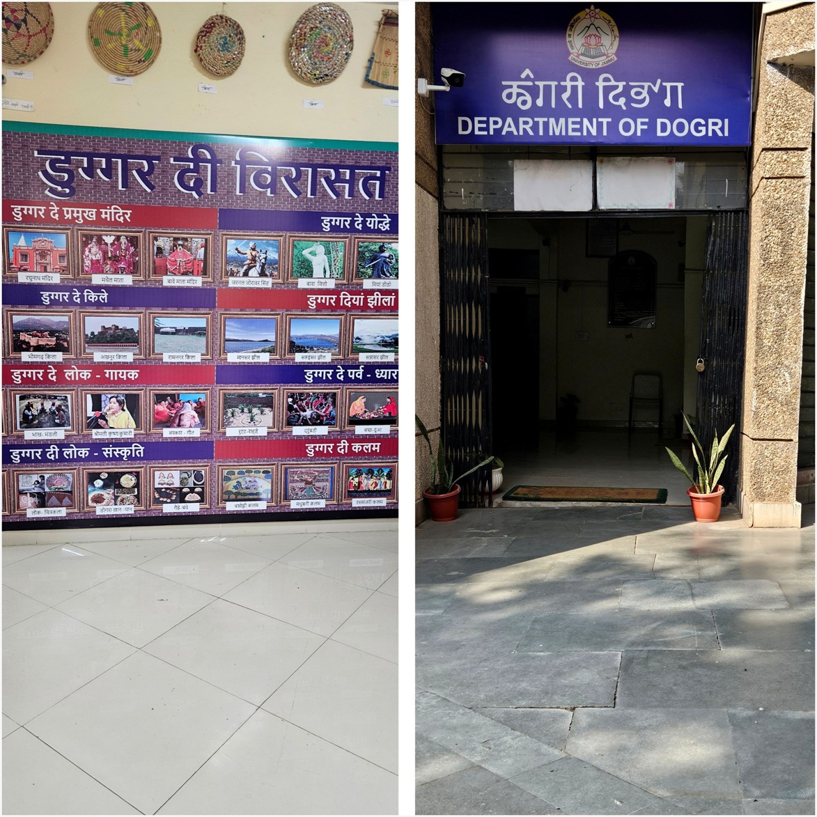 Department of Dogri